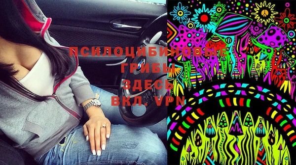 мет Инсар