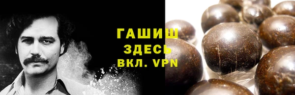 прущие грибы Армянск