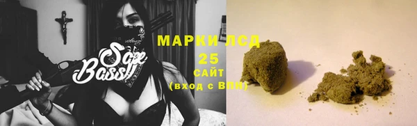 прущие грибы Армянск