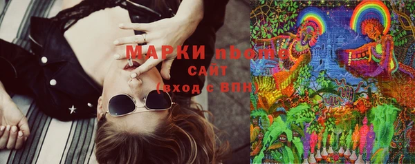 прущие грибы Армянск