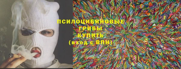 прущие грибы Армянск