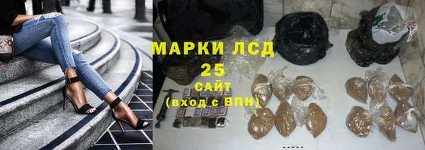 дмт Аркадак