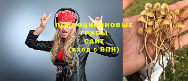 прущие грибы Армянск